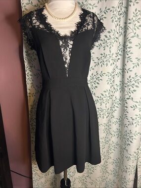 BCBGeneration Black Lace Inset Fit & Flare Mini Dress